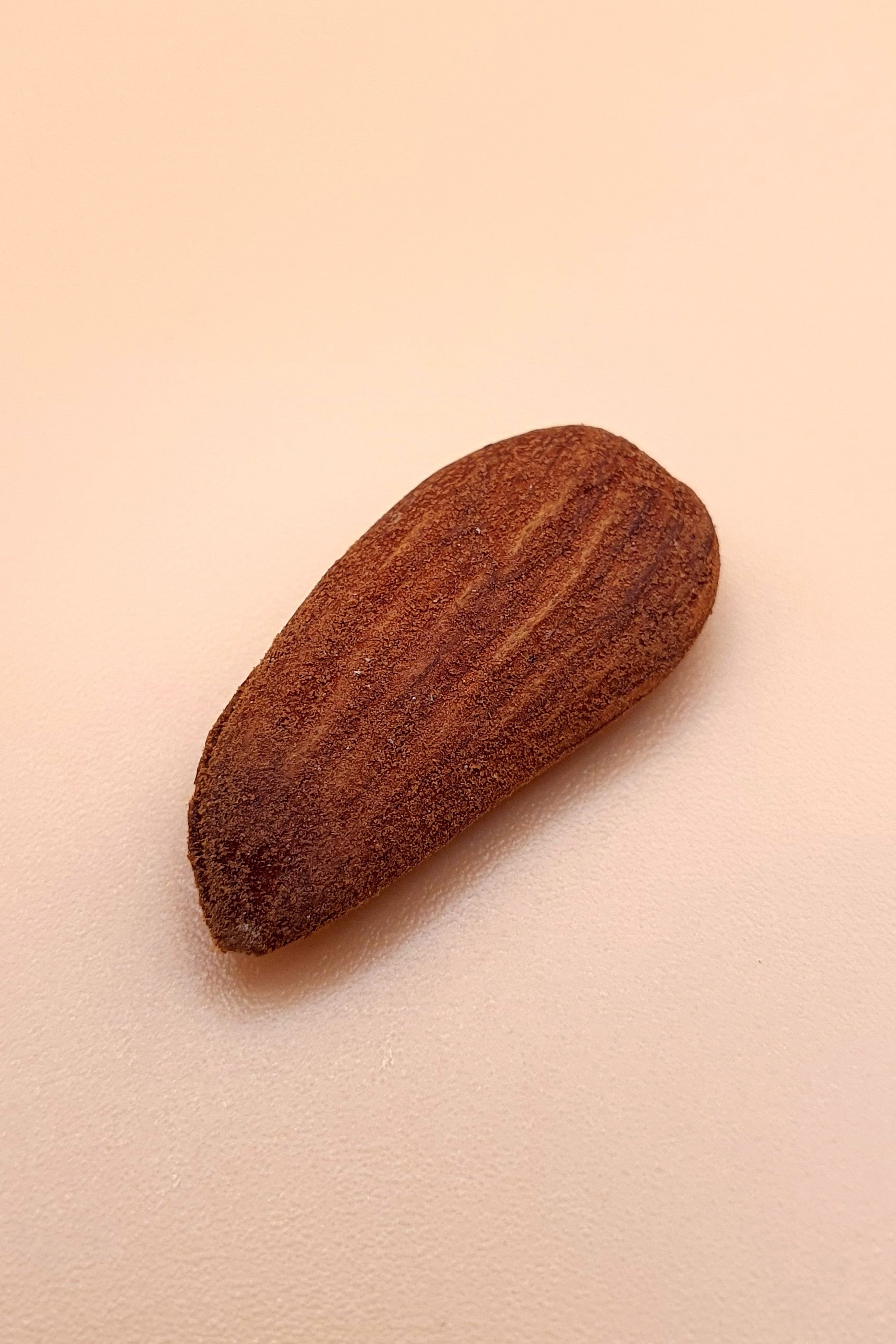 Mandeln natur pur 1000 g vor neutralem Hintergrund