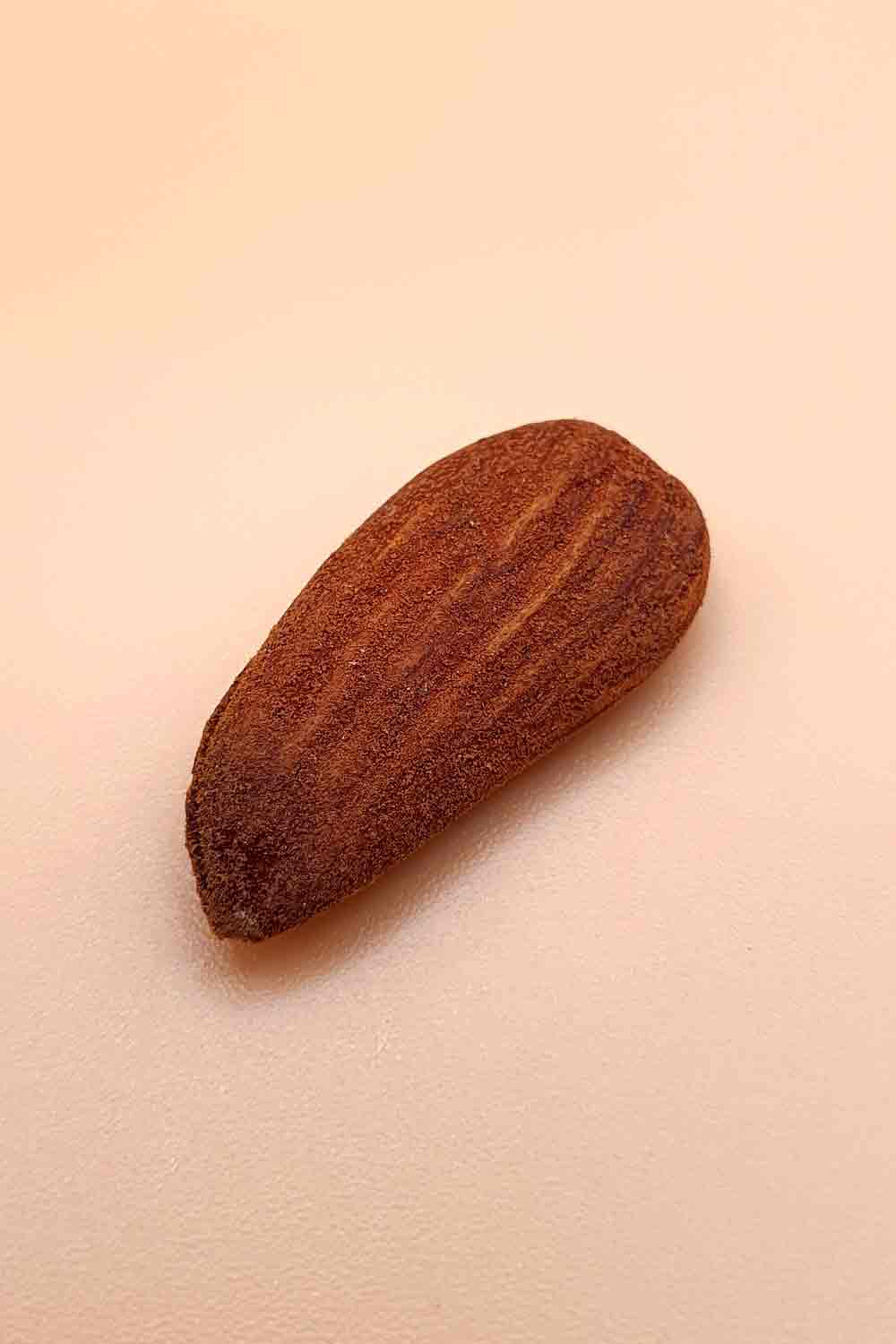 ein Mandelkern von Mandeln geröstet ohne Salz 1000 g vor neutralem Hintergrund