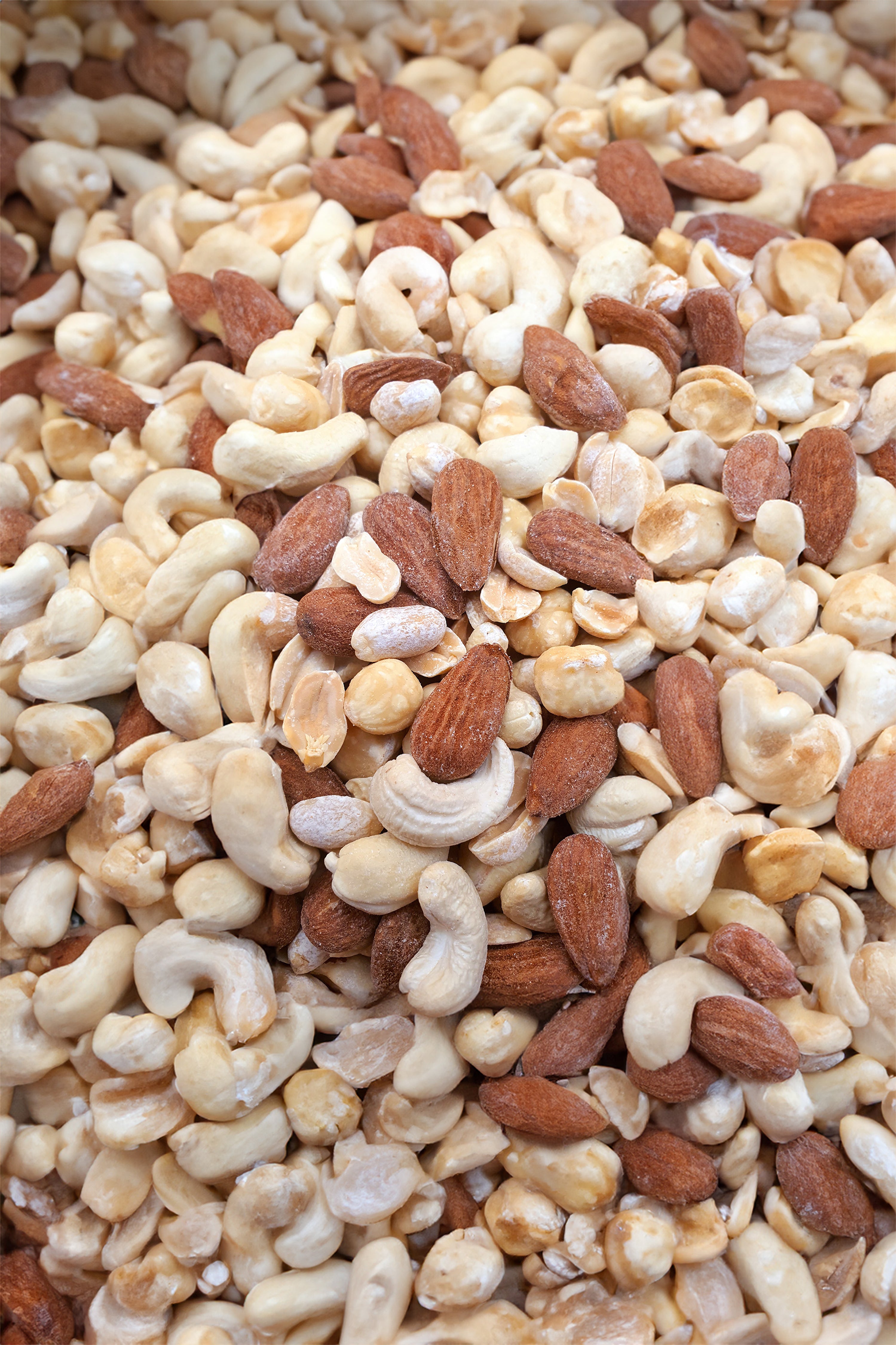Nuss-Mix „Protein Power“ 1000 g, große Menge ohne Hintergrund