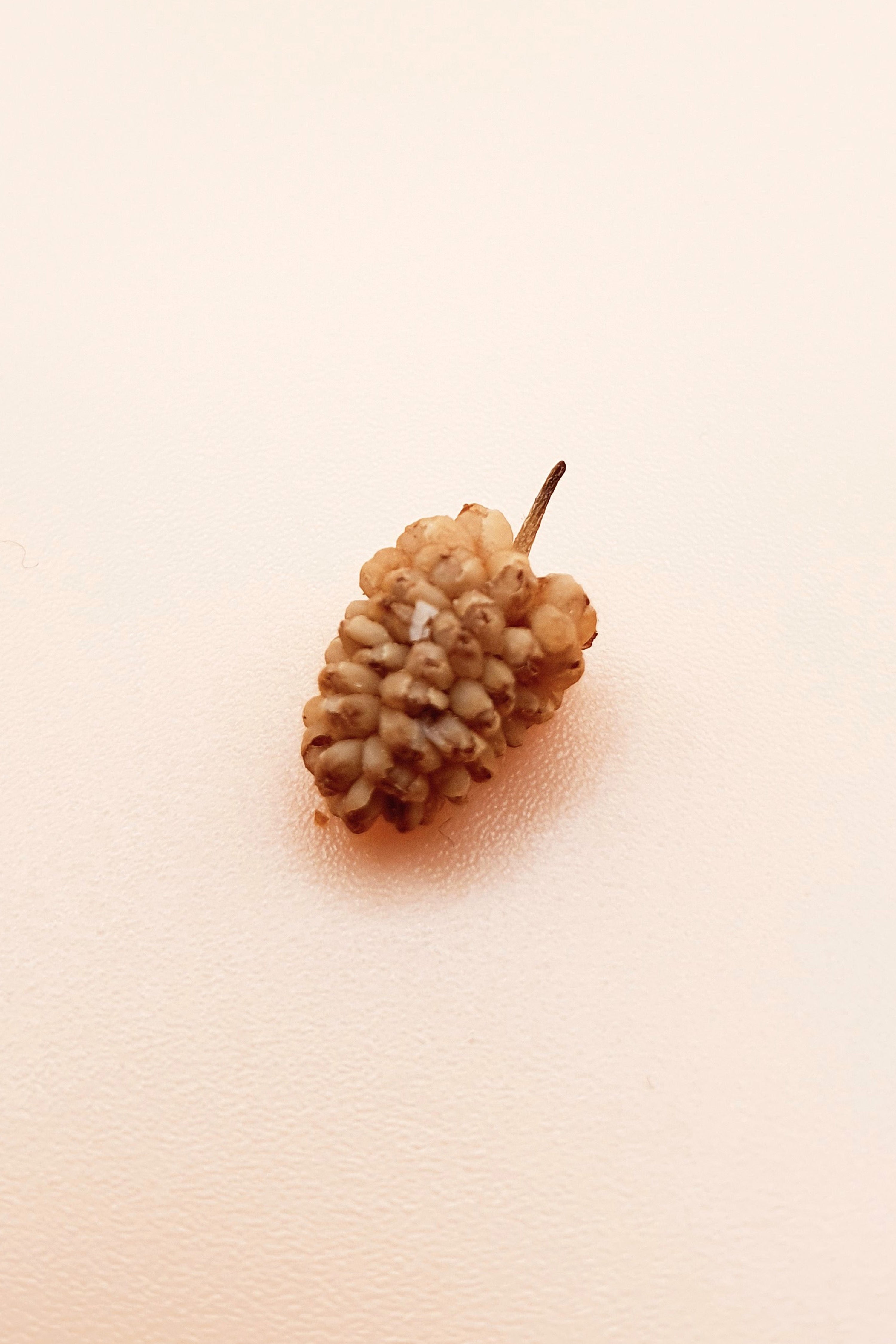 Weiße Bio Maulbeeren 1000 g vor neutralem Hintergrund