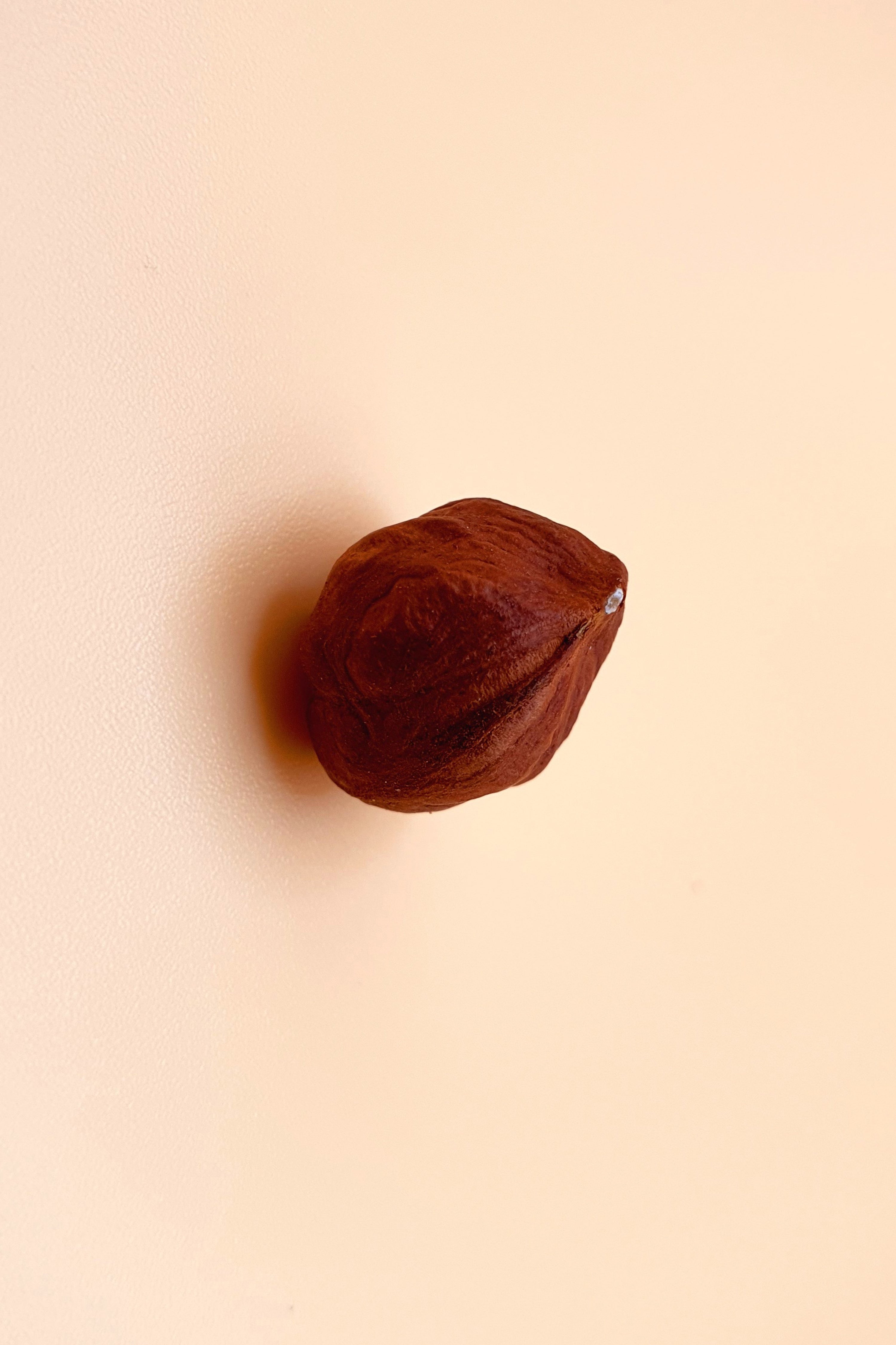 ein braune Haselnuss von Haselnüsse naturbelassen 1000 g vor neutralem Hintergrund von Knabba Baba