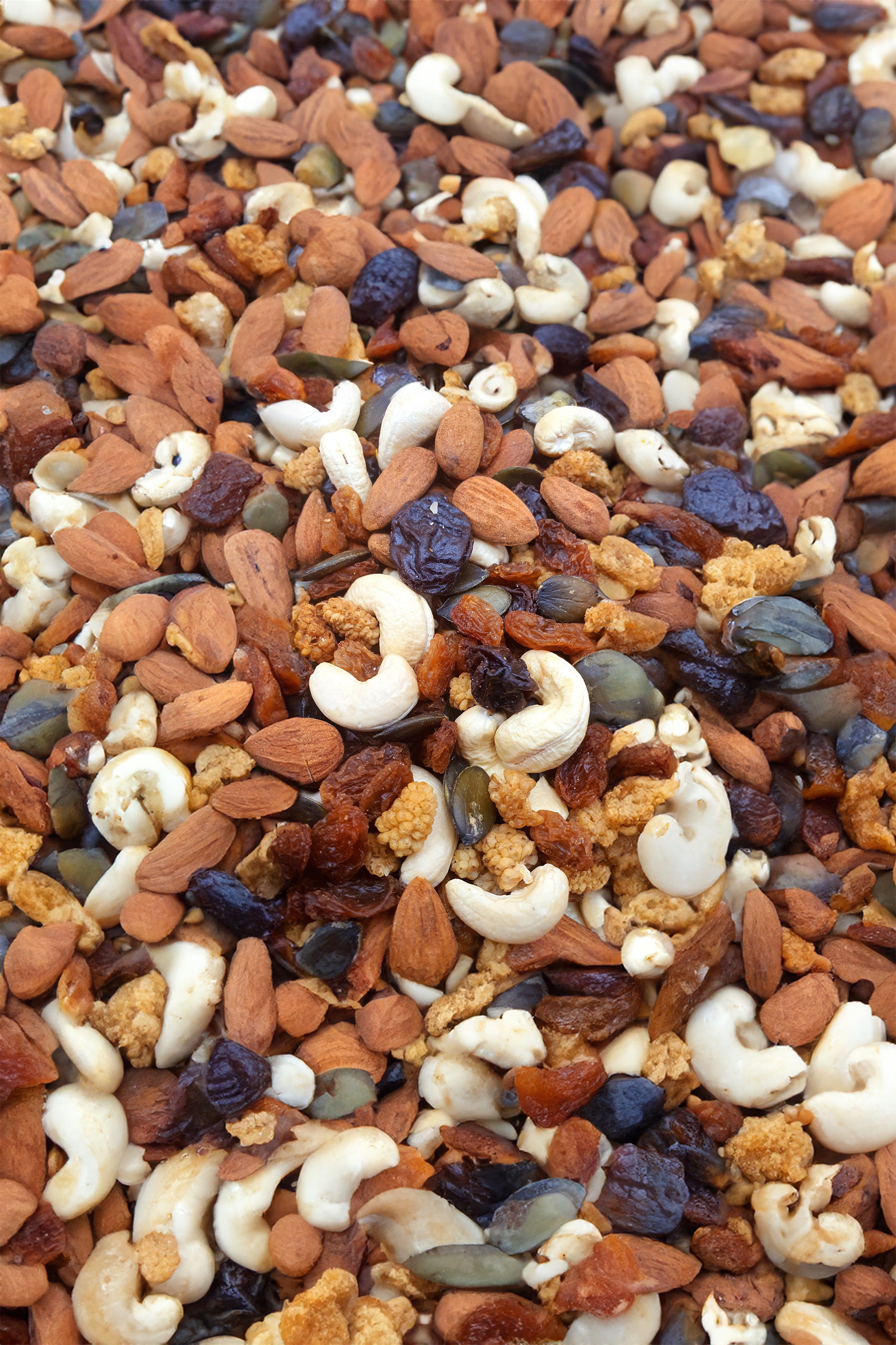 Knabba Baba Nuss-Frucht-Mix „Brain Food“ 1000 g, große Menge ohne Hintergrund