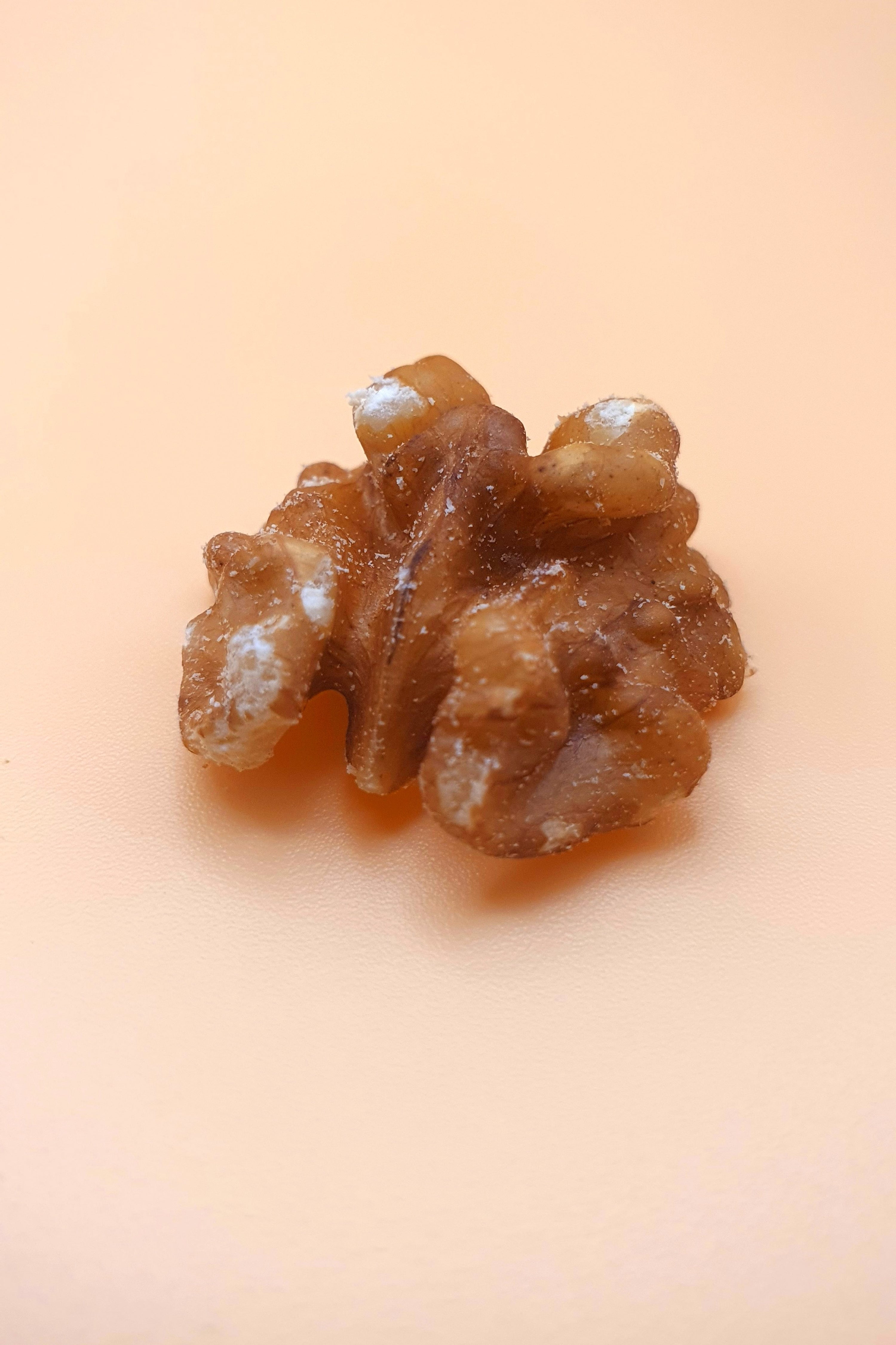 ein Walnusskern von Walnüsse 1000 g vor neutralem Hintergrund